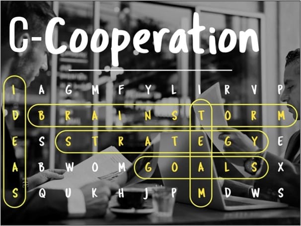 C-Corporations